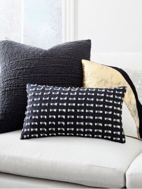 NWOT West Elm | Cotton Silk Pixel Cushion Cover